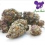 Anesia Seeds Deep Jealousy Auto Smoke Buds Weed Ganja Skunk Dope Pot Images Pics Nuggets