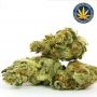 Advanced Seeds Strawberry Banana Fast Smoke Buds Weed Ganja Skunk Dope Pot Images Pics Nuggets