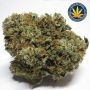 Advanced Seeds Fire Dog Smoke Buds Weed Ganja Skunk Dope Pot Images Pics Nuggets