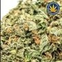 Bruce Banner Feminized by Advanced Seeds THC Content Potency Strength CBD Height Yield Flowering Time Indica Sativa Genetics
