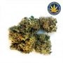 Advanced Seeds Banana Cookies Auto Smoke Buds Weed Ganja Skunk Dope Pot Images Pics Nuggets