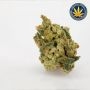 OO Seeds Sweet Somango Fast V Smoke Buds Weed Ganja Skunk Dope Pot Images Pics Nuggets