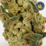Sweet Somango Fast V Feminized by OO Seeds THC Content Potency Strength CBD Height Yield Flowering Time Indica Sativa Genetics