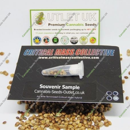 Critical Mass Collective Cannabis Strain Purple Gorilla Dawg Auto Marijuana Seeds Original Collector Souvenir Authentic Packagin