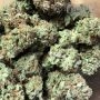 Humboldt Seed Company Caramel Cream Smoke Buds Weed Ganja Skunk Dope Pot Images Pics Nuggets