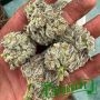 Humboldt Seed Organisation Double Fire Headband Smoke Buds Weed Ganja Skunk Dope Pot Images Pics Nuggets