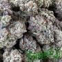 Double Fire Headband Marijuana Strain by Humboldt Seed Organisation For Sale Online at Cannabis Seeds Outlet