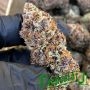 Humboldt Seed Organisation Forbidden Fruit Fast V Smoke Buds Weed Ganja Skunk Dope Pot Images Pics Nuggets