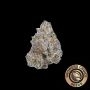 White Truffle Feminized Marijuana Strain by Growers Choice For Sale Online at Cannabis Seeds Outlet