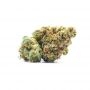 Cannabis Seeds Outlet Weed Strain Incredible Bulk Express Fast V Marijuana Seeds Original Collector Souvenir Authentic Packaging