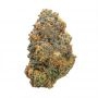 Ripper Seeds Shimo Smoke Buds Weed Ganja Skunk Dope Pot Images Pics Nuggets