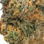 Shimo Feminized by Ripper Seeds THC Content Potency Strength CBD Height Yield Flowering Time Indica Sativa Genetics