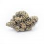 Ripper Seeds Zake Smoke Buds Weed Ganja Skunk Dope Pot Images Pics Nuggets
