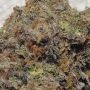 Zake Feminized by Ripper Seeds THC Content Potency Strength CBD Height Yield Flowering Time Indica Sativa Genetics