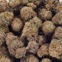 Ripper Seeds Korenji Smoke Buds Weed Ganja Skunk Dope Pot Images Pics Nuggets