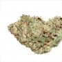 Terp Treez Seed Co Alien Dounutz Smoke Buds Weed Ganja Skunk Dope Pot Images Pics Nuggets