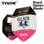 Royal Queen Seeds Cannabis Strain Tyson Gelato 44 Feminized Marijuana Seeds Original Collector Souvenir Authentic Packaging Pack