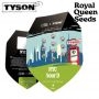 Royal Queen Seeds Cannabis Strain Tyson NYC Sour D Auto Feminized Marijuana Seeds Original Collector Souvenir Authentic Packagin