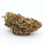 Royal Queen Seeds Tyson NYC Sour D Auto Smoke Buds Weed Ganja Skunk Dope Pot Images Pics Nuggets