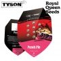 Royal Queen Seeds Cannabis Strain Tyson Punch Pie Feminized Marijuana Seeds Original Collector Souvenir Authentic Packaging Pack