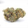 Barneys Farm Gary Payton Smoke Buds Weed Ganja Skunk Dope Pot Images Pics Nuggets