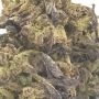 Anesia Seeds Indigo Sapphire Smoke Buds Weed Ganja Skunk Dope Pot Images Pics Nuggets