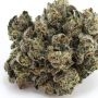 Anesia Seeds Elementz Smoke Buds Weed Ganja Skunk Dope Pot Images Pics Nuggets