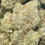 Anesia Seeds Chimera Cut Smoke Buds Weed Ganja Skunk Dope Pot Images Pics Nuggets