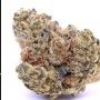 Advanced Seeds Lemon Bean Smoke Buds Weed Ganja Skunk Dope Pot Images Pics Nuggets