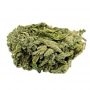 Advanced Seeds Critical Lemon Fast Smoke Buds Weed Ganja Skunk Dope Pot Images Pics Nuggets