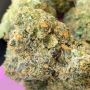 Advanced Seeds Apple Fritter Smoke Buds Weed Ganja Skunk Dope Pot Images Pics Nuggets