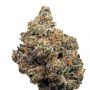 Compound Genetics Frosted Fujis Smoke Buds Weed Ganja Skunk Dope Pot Images Pics Nuggets