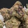 Cali Weed Apple Fritters Auto Smoke Buds Weed Ganja Skunk Dope Pot Images Pics Nuggets
