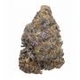 Cali Weed Pink Rozay Smoke Buds Weed Ganja Skunk Dope Pot Images Pics Nuggets