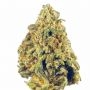 Cali Weed Cereal Milk Smoke Buds Weed Ganja Skunk Dope Pot Images Pics Nuggets