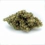 Double Seeds Banana Glue Smoke Buds Weed Ganja Skunk Dope Pot Images Pics Nuggets
