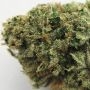 Double Seeds The BULK Smoke Buds Weed Ganja Skunk Dope Pot Images Pics Nuggets
