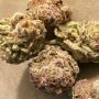Double Seeds Mimosa x Orange Punch Smoke Buds Weed Ganja Skunk Dope Pot Images Pics Nuggets