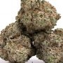 DNA Genetics White Chocolope Smoke Buds Weed Ganja Skunk Dope Pot Images Pics Nuggets