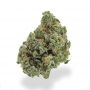 Delicious Seeds Eleven Roses Auto Smoke Buds Weed Ganja Skunk Dope Pot Images Pics Nuggets