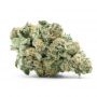 Delicious Seeds Bay Burger Early V Smoke Buds Weed Ganja Skunk Dope Pot Images Pics Nuggets