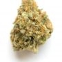 Bay Burger Feminized by Delicious Seeds THC Content Potency Strength CBD Height Yield Flowering Time Indica Sativa Genetics