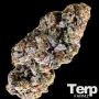 Choc Truffle Auto Feminized Marijuana Strain by Terp Farmz For Sale Online at Cannabis Seeds Outlet