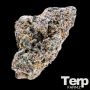 Blue Nerdz Auto Feminized Marijuana Strain by Terp Farmz For Sale Online at Cannabis Seeds Outlet