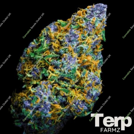 Wagyu Donutz Feminized Marijuana Strain by Terp Farmz For Sale Online at Cannabis Seeds Outlet
