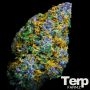 Wagyu Donutz Feminized Marijuana Strain by Terp Farmz For Sale Online at Cannabis Seeds Outlet