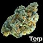 Minted Oreoz Feminized Marijuana Strain by Terp Farmz For Sale Online at Cannabis Seeds Outlet
