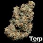 Jelly Donutz Feminized Marijuana Strain by Terp Farmz For Sale Online at Cannabis Seeds Outlet