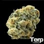 Black Zushi Feminized Marijuana Strain by Terp Farmz For Sale Online at Cannabis Seeds Outlet