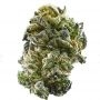 Humboldt Seed Company GS Cookies Smoke Buds Weed Ganja Skunk Dope Pot Images Pics Nuggets